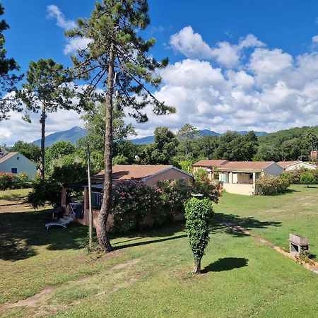 Pinea Mare Poggio Mezzana Exterior foto