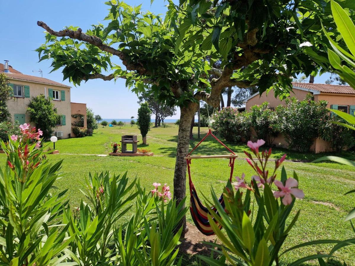Pinea Mare Poggio Mezzana Exterior foto