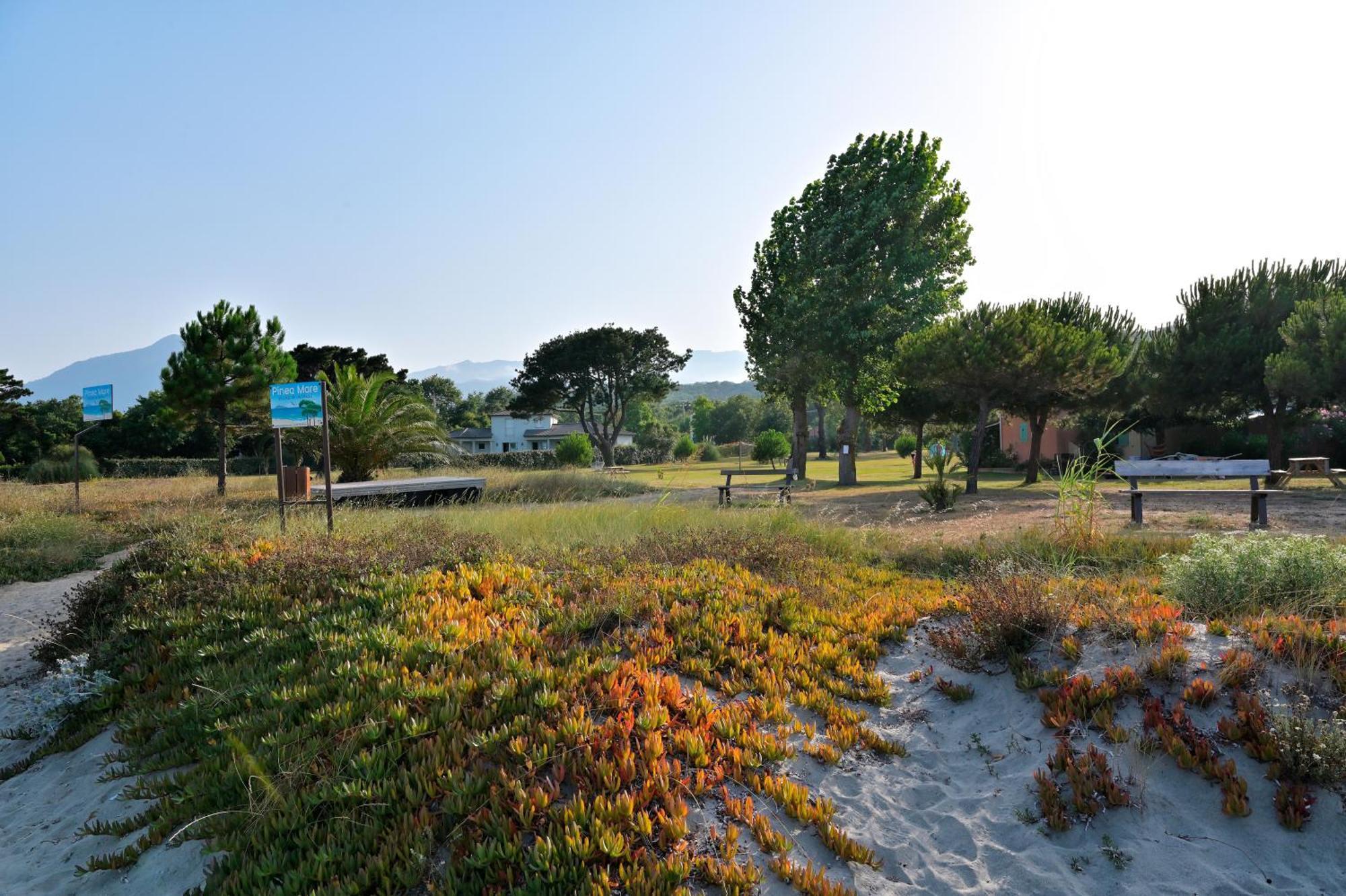 Pinea Mare Poggio Mezzana Exterior foto