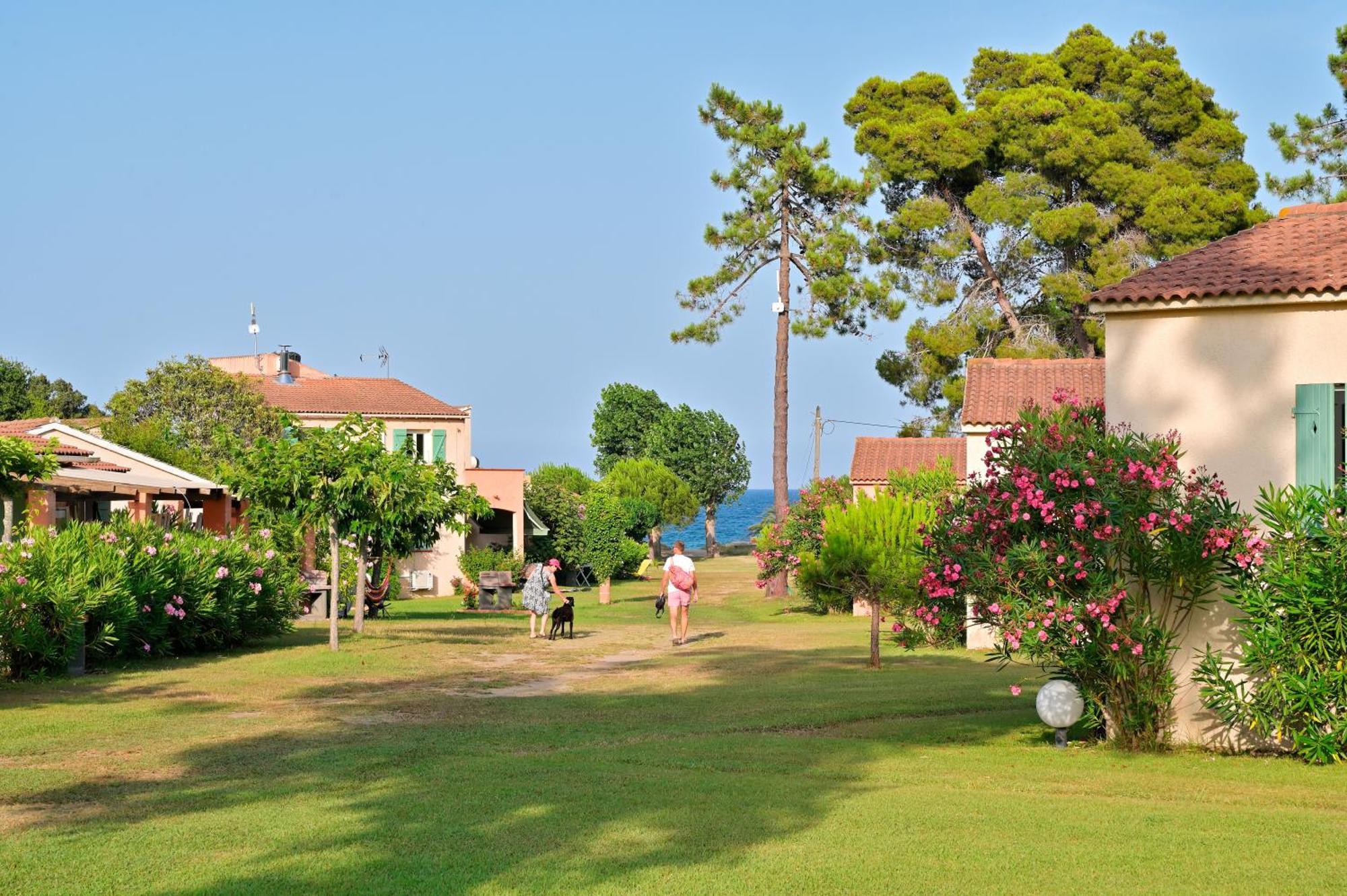 Pinea Mare Poggio Mezzana Exterior foto