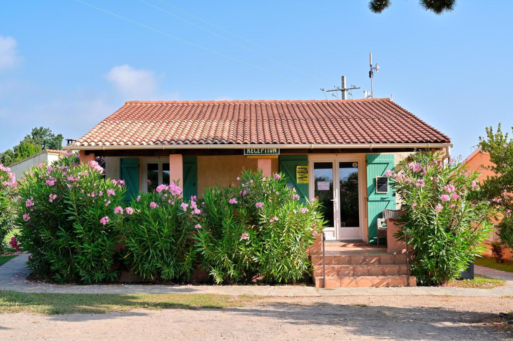 Pinea Mare Poggio Mezzana Exterior foto